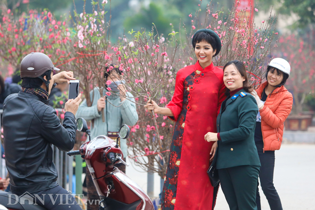 anh: bat gap hoa hau h'hen nie di cho hoa dao o ha noi hinh anh 7