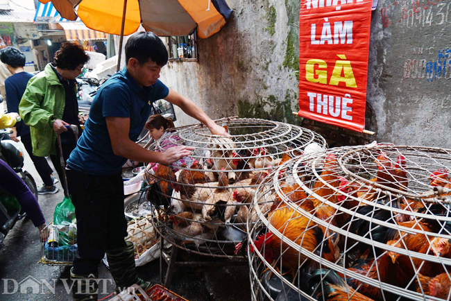 anh: nguoi ha noi xep hang mua gio cha, thit ga ngay 30 tet hinh anh 6