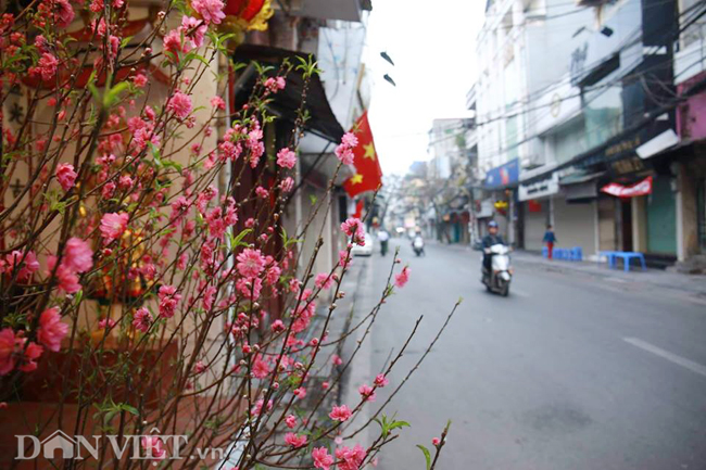 Hà Nội on mùng 1 Tết is a unique experience. While many people return to their hometowns to celebrate with family, the quieter streets offer a chance to reflect and enjoy the beauty of the city. Take a stroll through the empty đường phố and admire the traditional decorations captured in these stunning ảnh đường phố tết.