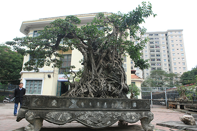 hai cay sanh “khung” cua doanh nhan bi an o ha noi hinh anh 10