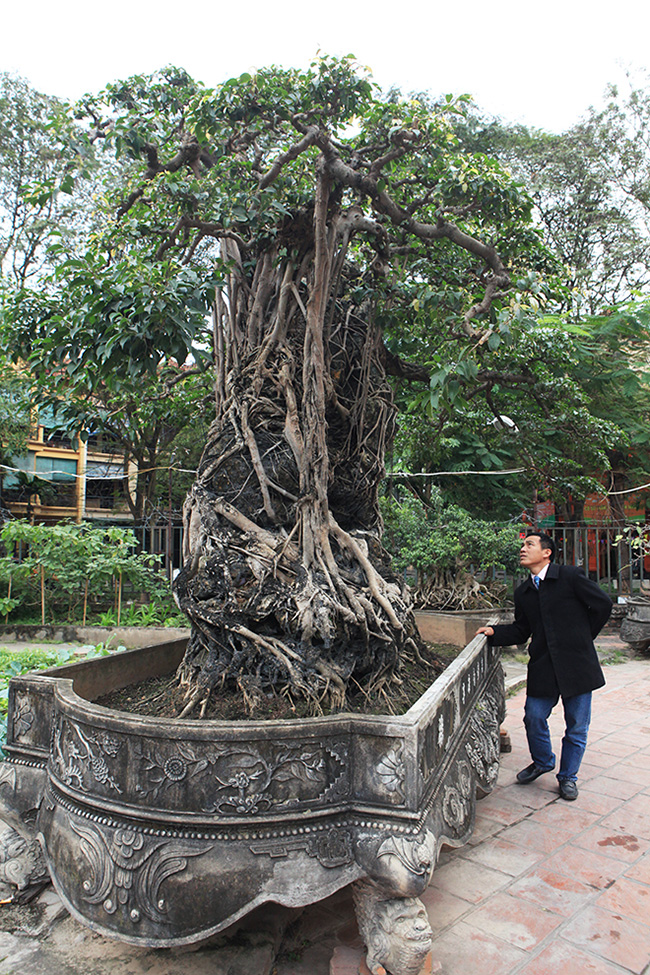 hai cay sanh “khung” cua doanh nhan bi an o ha noi hinh anh 15