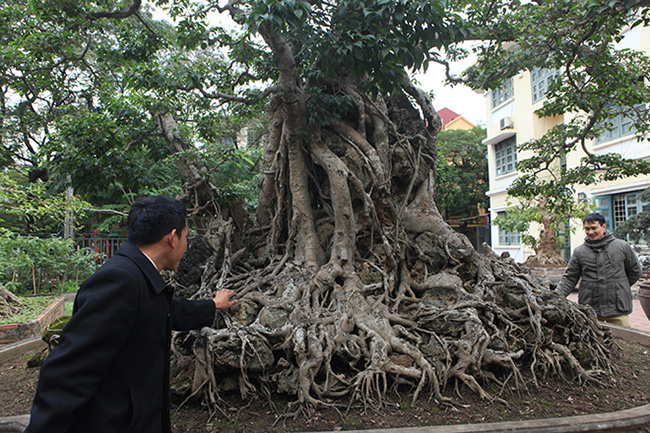 hai cay sanh “khung” cua doanh nhan bi an o ha noi hinh anh 7