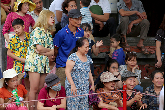 anh: do mau tai le hoi vat cau thuy linh hinh anh 5