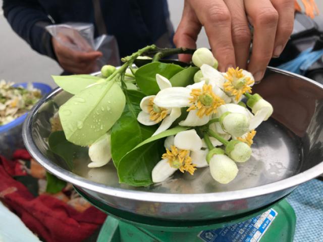Đào phai, mai tàn, dân Hà thành chuộng thứ hoa quê thơm nức giá nửa triệu/kg