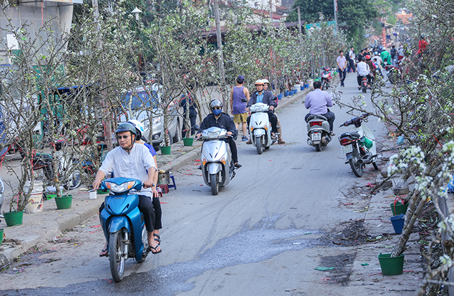 anh: hoa le rung tay bac tien trieu hut nguoi choi sau tet hinh anh 1