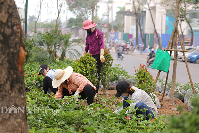 duong pho ha noi trang hoang chao don hoi nghi thuong dinh my-trieu hinh anh 7