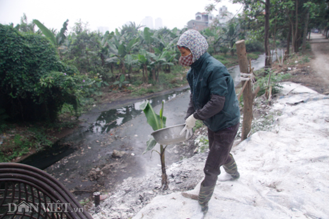 hinh anh nguoi dan ha noi phong chong dich ta lon chau phi hinh anh 1