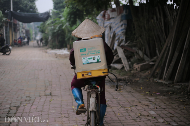 hinh anh nguoi dan ha noi phong chong dich ta lon chau phi hinh anh 6