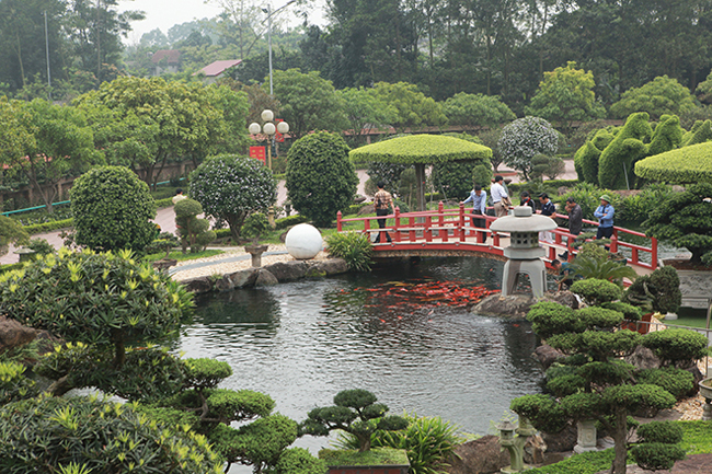 dai gia thai nguyen sang tan nhat ban sam dan ca bac ty ve choi hinh anh 1