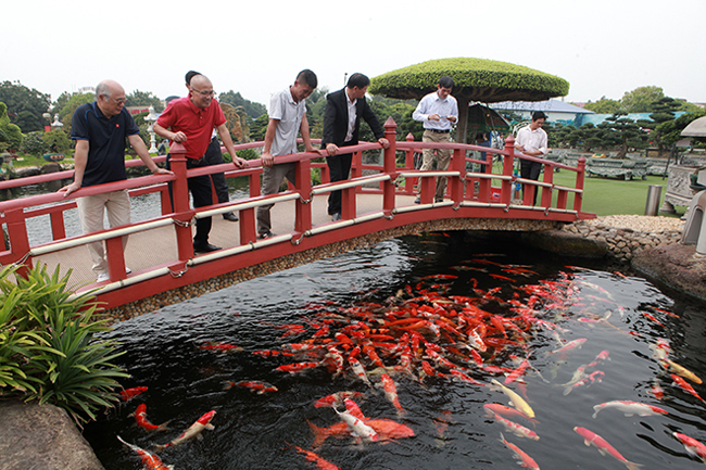 dai gia thai nguyen sang tan nhat ban sam dan ca bac ty ve choi hinh anh 2