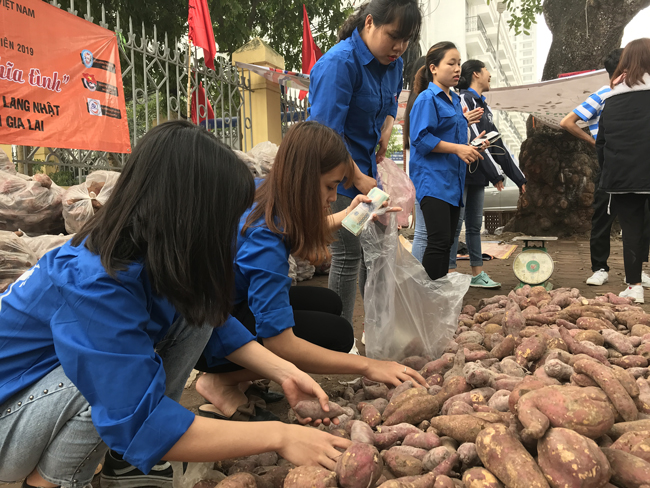 nguoi ha noi tieu thu hang tram tan khoai lang nhat chi trong vai ngay hinh anh 7