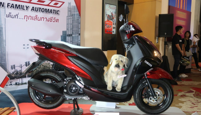 2019 yamaha freego gia 37 trieu dong, canh tranh honda air blade hinh anh 20