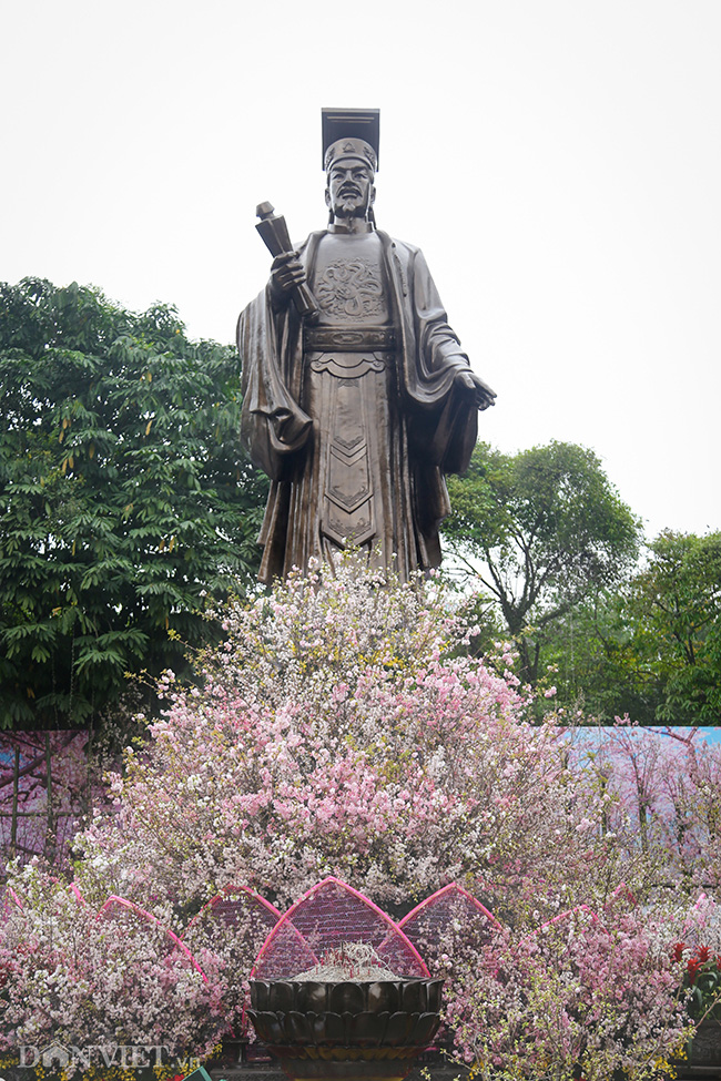 anh: hoa anh dao nhat ban san sang ra mat nguoi dan ha noi hinh anh 7