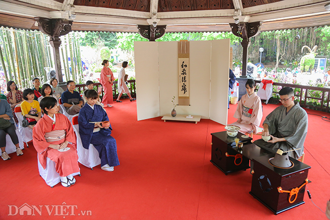 anh: nguoi ha noi xung xinh kimono do xo den du le hoi hoa anh dao hinh anh 11