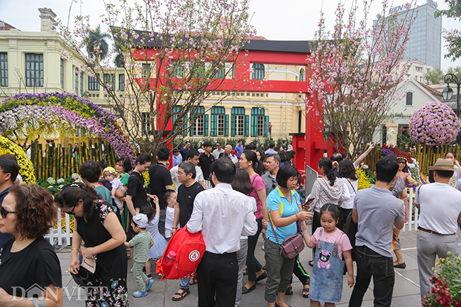 anh: nguoi ha noi xung xinh kimono do xo den du le hoi hoa anh dao hinh anh 12