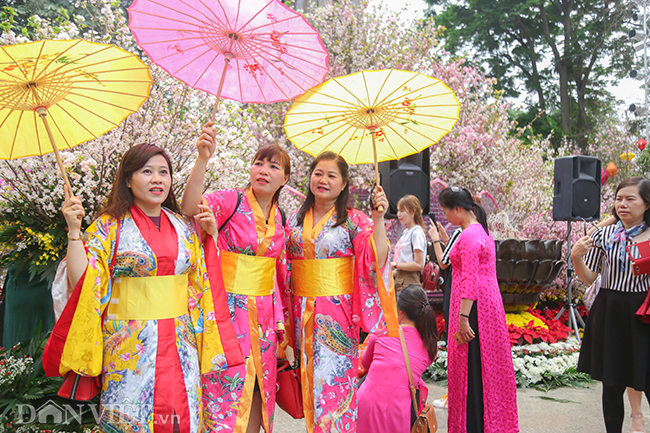 anh: nguoi ha noi xung xinh kimono do xo den du le hoi hoa anh dao hinh anh 3