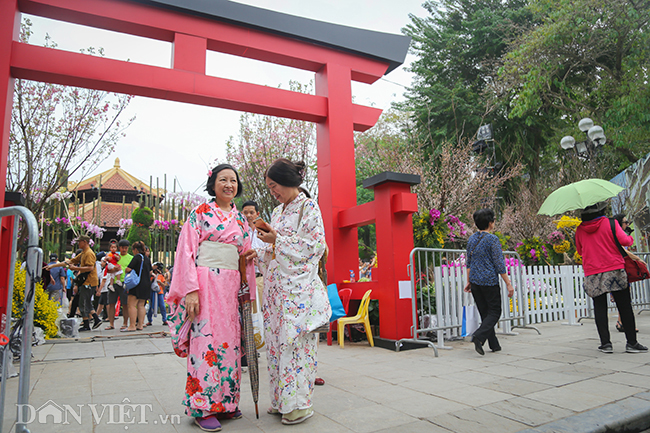 anh: nguoi ha noi xung xinh kimono do xo den du le hoi hoa anh dao hinh anh 6