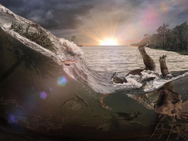 Nấm mồ hóa thạch tiết lộ thảm họa khiến khủng long tuyệt chủng