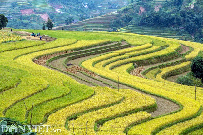 ve dep nao long ruong bac thang vua duoc cong nhan di tich quoc gia hinh anh 10