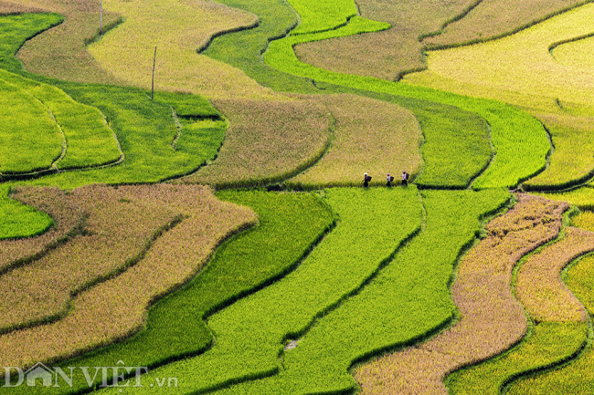 ve dep nao long ruong bac thang vua duoc cong nhan di tich quoc gia hinh anh 3