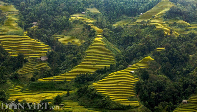 ve dep nao long ruong bac thang vua duoc cong nhan di tich quoc gia hinh anh 5