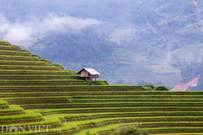 ve dep nao long ruong bac thang vua duoc cong nhan di tich quoc gia hinh anh 9