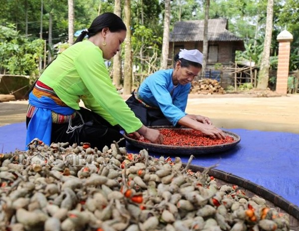 Bài viết chi tiết