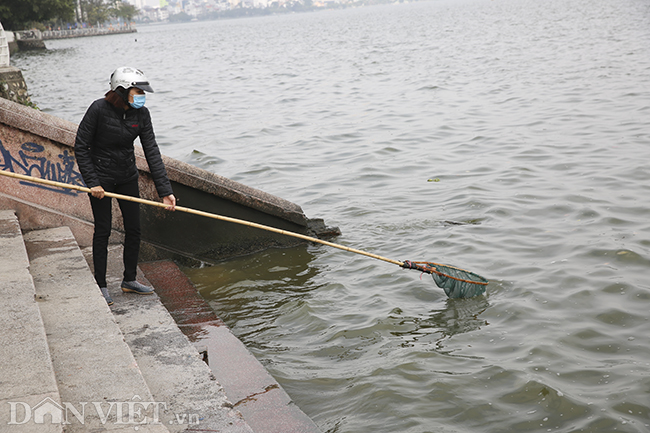 nguoi ha noi tranh thu tien ong cong, ong tao ve chau troi som hinh anh 6