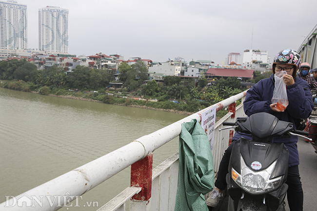 nguoi ha noi tranh thu tien ong cong, ong tao ve chau troi som hinh anh 8