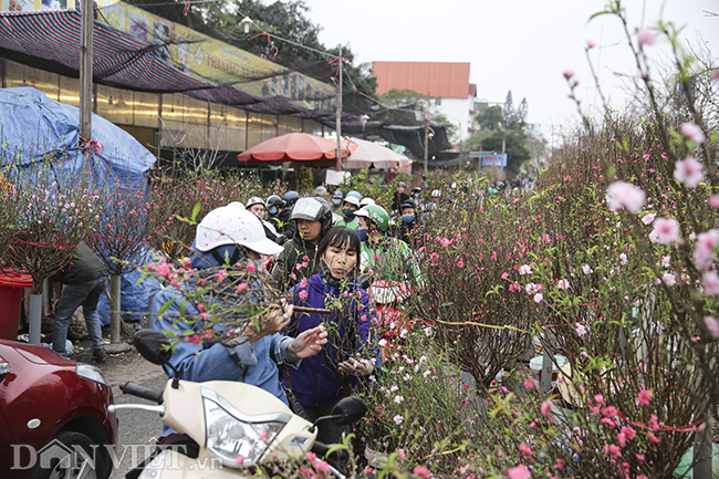 dao, quat chen chuc giua dong nguoi tai cho hoa lon nhat ha noi hinh anh 1