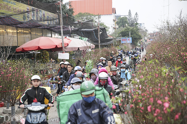 dao, quat chen chuc giua dong nguoi tai cho hoa lon nhat ha noi hinh anh 10