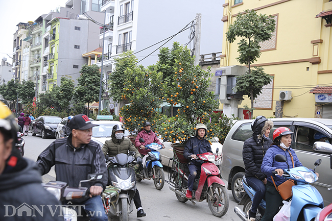 dao, quat chen chuc giua dong nguoi tai cho hoa lon nhat ha noi hinh anh 11