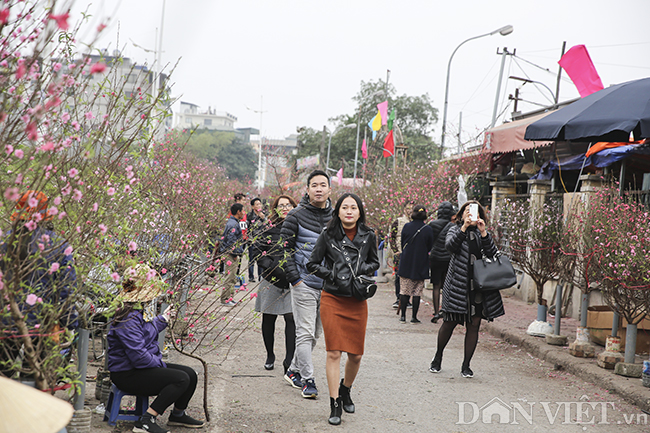 dao, quat chen chuc giua dong nguoi tai cho hoa lon nhat ha noi hinh anh 3