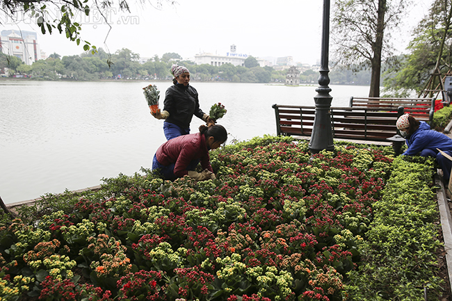 pho phuong ha noi trang tri ruc ro don tet nguyen dan canh ty hinh anh 4