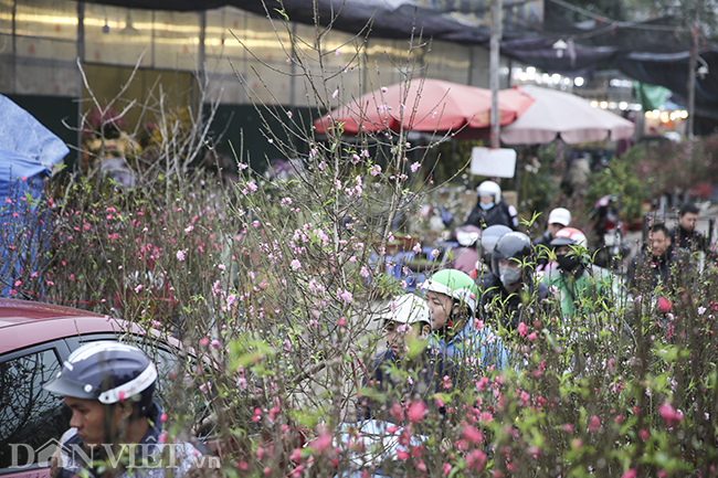 dao, quat chen chuc giua dong nguoi tai cho hoa lon nhat ha noi hinh anh 8