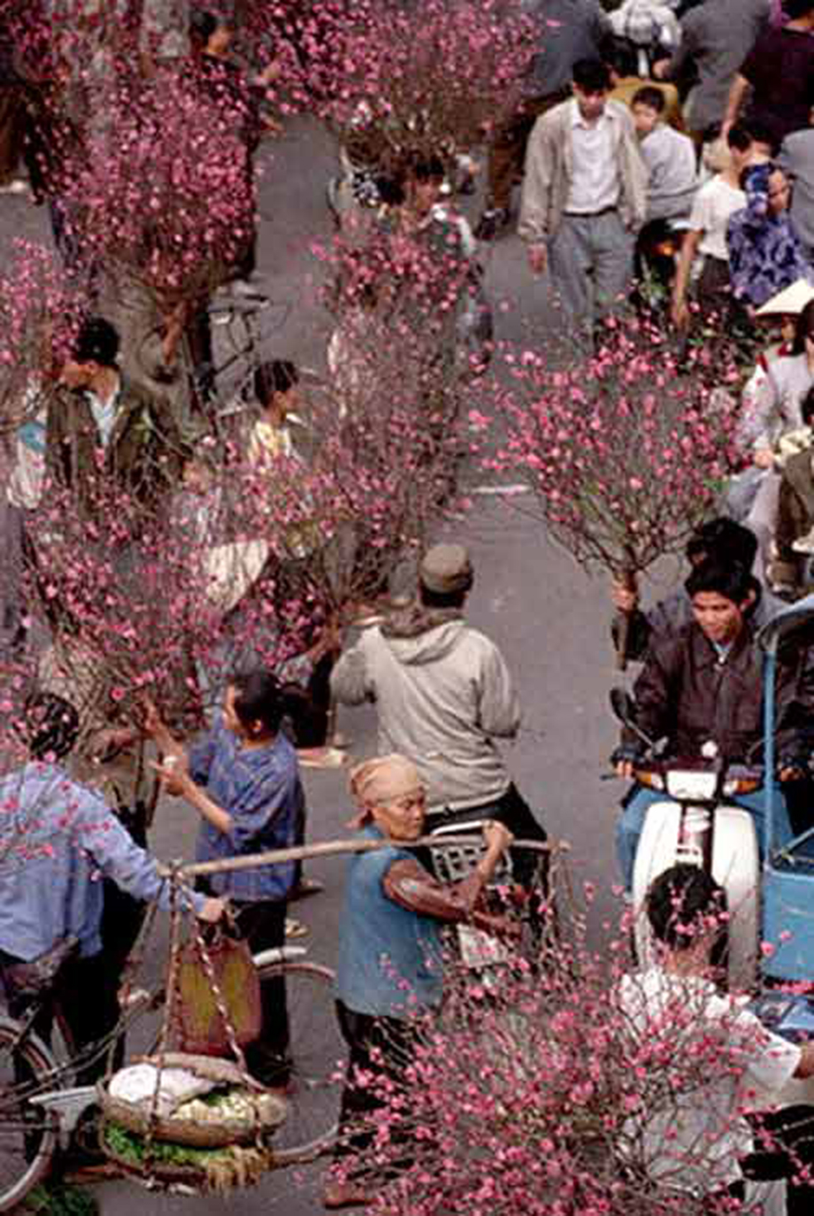 Chợ hoa ngày Tết