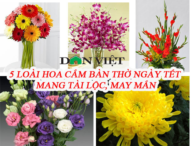 5 loại hoa cắm bàn thờ dịp Tết hút tài lộc, may mắn trong năm mới - Ảnh 1.