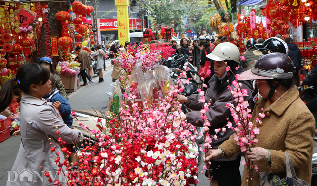 cho hoa lau doi nhat ha noi nhon nhip canh mua sam ngay can tet hinh anh 12