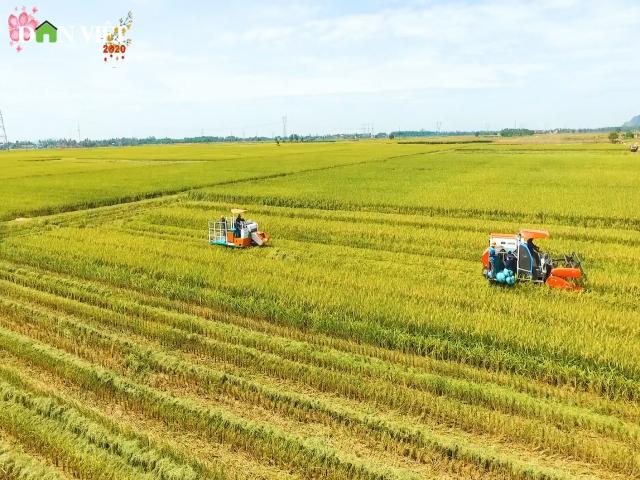 VINASEED đồng hành và phát triển cùng nông nghiệp Việt Nam