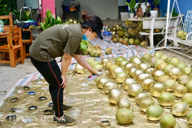 Trái dừa: Trái dừa - một trong những loại quả tuyệt vời nhất xuất hiện trên đất nước Việt Nam. Hãy xem những hình ảnh về trái dừa quen thuộc, những chiếc lá rợp bóng mát và những tán cây xanh tươi vô cùng bình yên, sẽ giúp bạn tìm lại những giây phút thanh thản và sức sống.