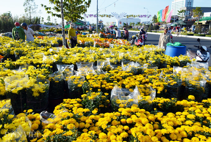 Chợ hoa Tết là nơi bạn có thể tìm thấy những loại hoa đẹp nhất và độc đáo nhất cho ngày Tết truyền thống của người Việt Nam. Cùng xem hình ảnh lung linh và đầy nét đẹp của chợ hoa Tết để cảm nhận được tinh hoa và văn hóa của người dân hàng nghìn năm văn hiến.