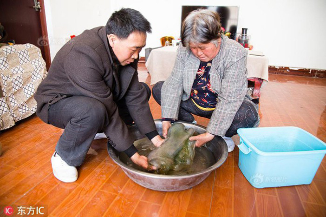 “khoi bay nhay” gia 30 ty va nhung “kho bau” tren troi roi xuong hinh anh 3