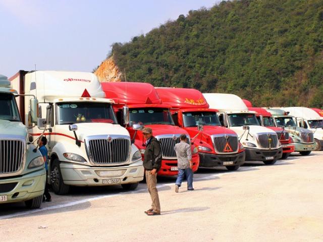 Hàng trăm container nông sản nằm chờ ở cửa khẩu: Nhà nông lao đao vì dịch Corona