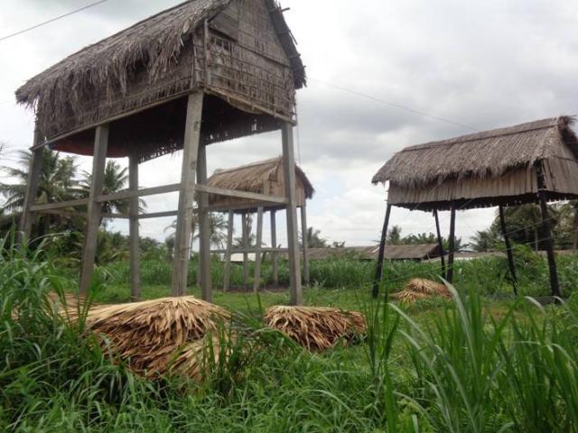 Làm &quot;lầu&quot; lênh khênh, nuôi thú biết bay, hứng thứ &quot;phân vua&quot; bán đắt