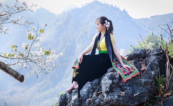 Hoa ban Tây Bắc là biểu tượng của vùng núi Tây Bắc Việt Nam với sắc trắng tinh khôi và hương thơm nồng nàn. Cảnh đẹp mê hồn này luôn khiến người ta say đắm và đắm chìm trong những khoảnh khắc yên bình trước thiên nhiên.