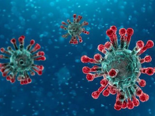 Virus Corona có thể tồn tại ngoài vật chủ trong bao lâu?