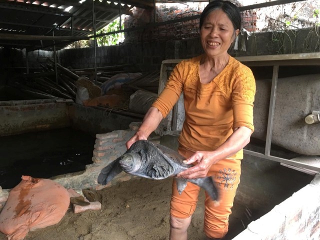 Mạnh tay đầu tư nuôi ba ba Lão nông ăn nên làm ra và lan tỏa mô hình