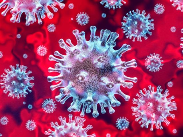 Nghiên cứu mới: Virus Corona có khả năng liên kết với tế bào người nhanh gấp 20 lần SARS