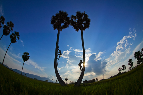 Việt Nam đẹp tuyệt mỹ: Hình ảnh về Việt Nam đang chờ đón bạn! Khám phá những cảnh đẹp tuyệt mỹ của đất nước mình qua trong ảnh. Đắm mình trong khung cảnh thiên nhiên hoang sơ, đồng ruộng tươi tốt và con người hiền hòa nơi đây.