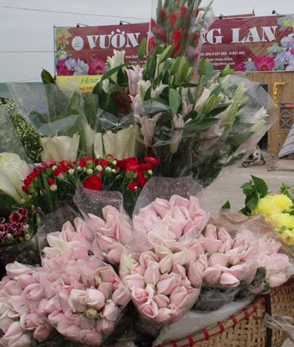 Chợ hoa Quảng Bá là một điểm đến không thể bỏ qua cho những người yêu hoa. Tại đây, bạn sẽ được ngắm nhìn vô vàn các loài hoa đẹp mắt từ khắp mọi miền đất nước. Hãy dành cho mình một ngày để khám phá chợ hoa Quảng Bá với những trải nghiệm tuyệt vời.